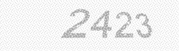 Visual security code — type the characters shown in the image
