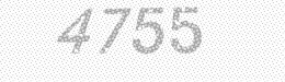 Visual security code — type the characters shown in the image