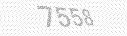 Visual security code — type the characters shown in the image